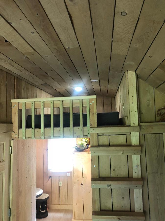 The Hideaway Tiny Cabin East Durham Exterior photo